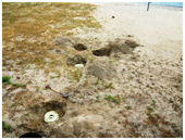 �y����ƒ�Q��������ɂ����g���b�v